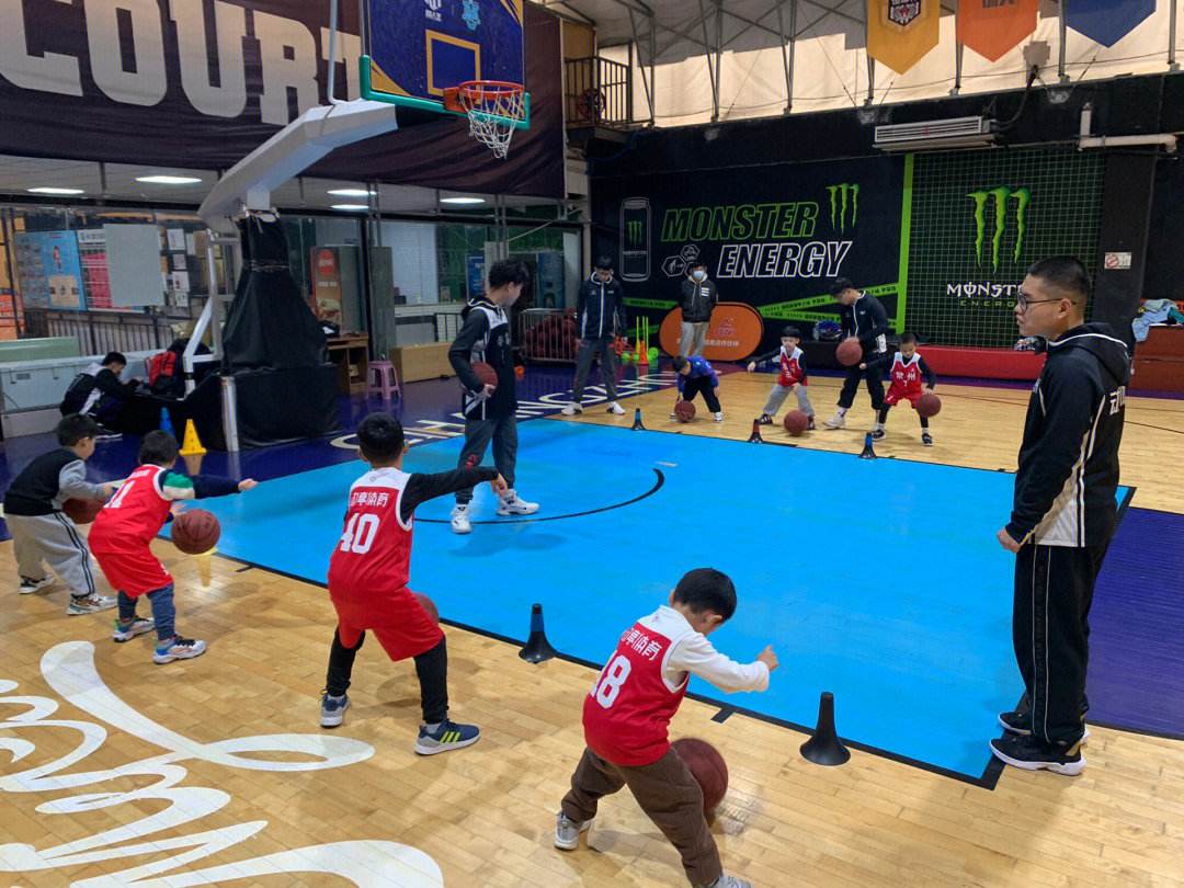 包含数字化技术推动青少年篮球训练数据透明可追溯的词条