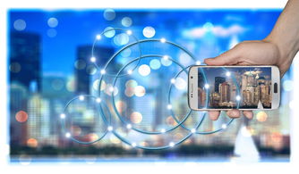 乐鱼体育首页-中国篮球职业俱乐部财务风险管理策略研究，篮球俱乐部运营情况