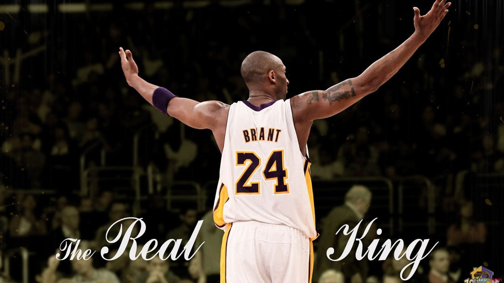 体育场馆智能管理平台构建与运行效率分析,体育场馆智慧管理系统