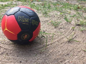 乐鱼APP-英超球队基于运动表现数据调整赛中体能分配策略，英超球队规则