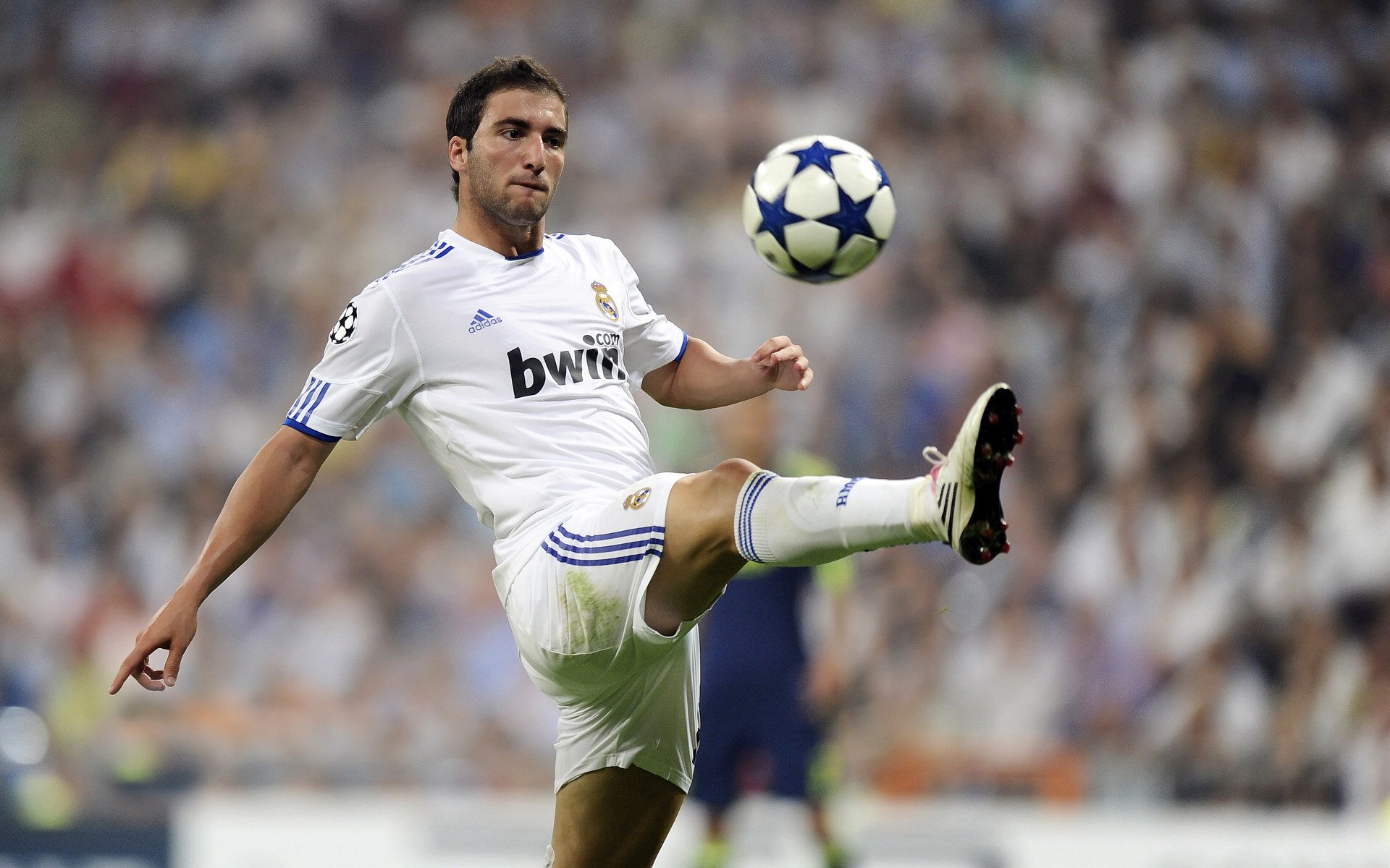 亚历克斯·格林伍德稳步提高,成为袋鼠队不可或缺的后防力量,亚历克斯-格林伍德