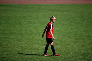 乐鱼体育-勇士训练时长延长球员投入度高，勇士训练短袖