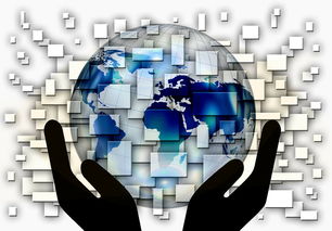 乐鱼VIP-国家滑板协会公布全国青少年排名更新机制，国家滑板队训练中心